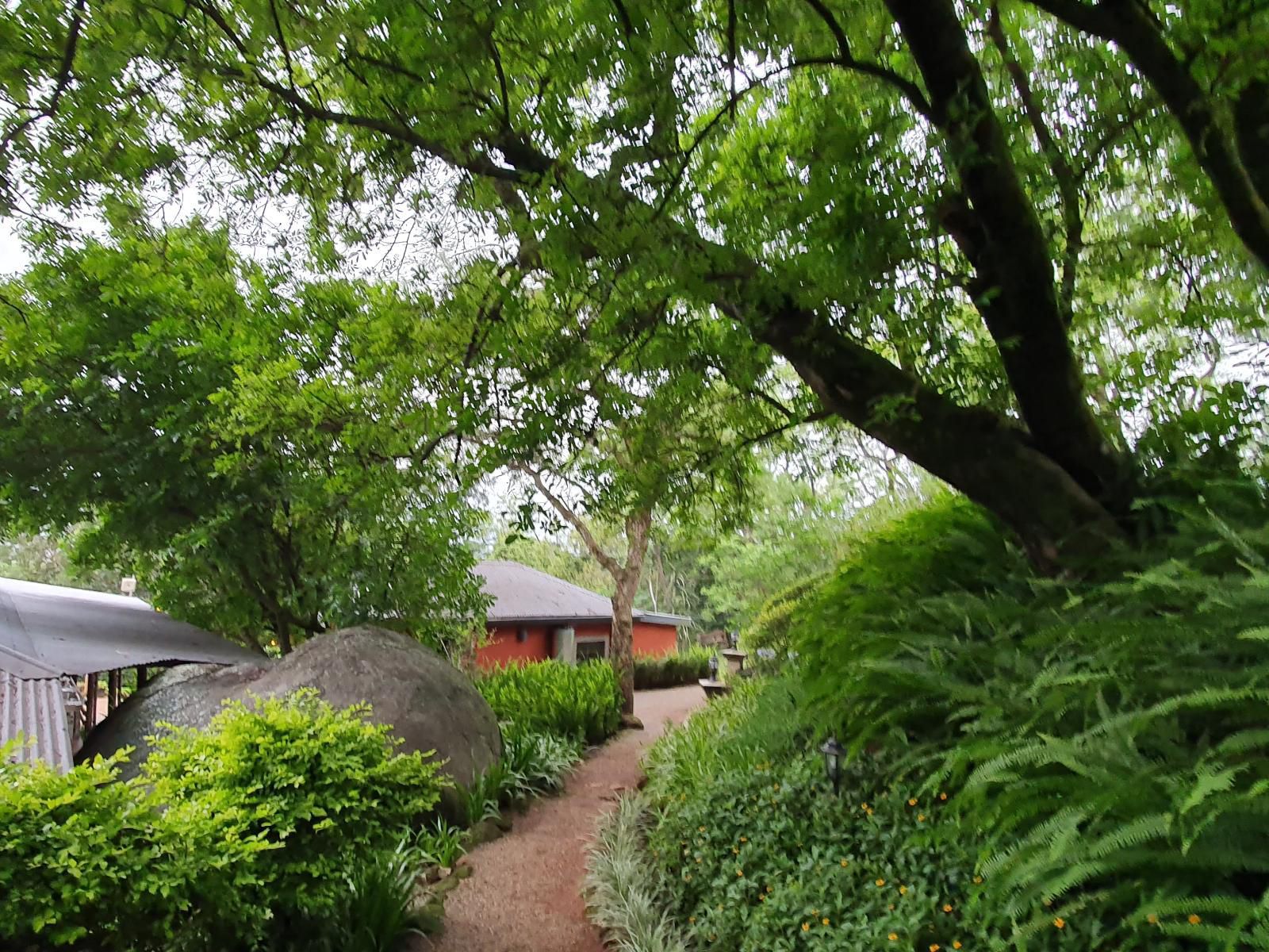 Lidwala Lodge, Plant, Nature, Garden