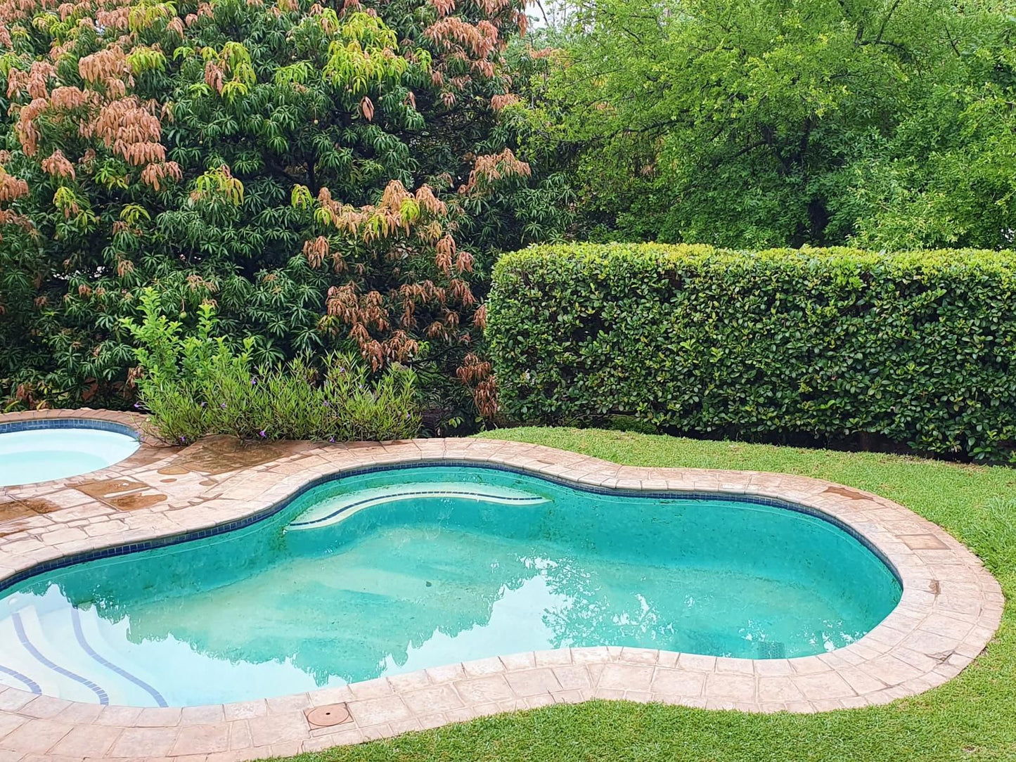 Lidwala Lodge, Garden, Nature, Plant, Swimming Pool