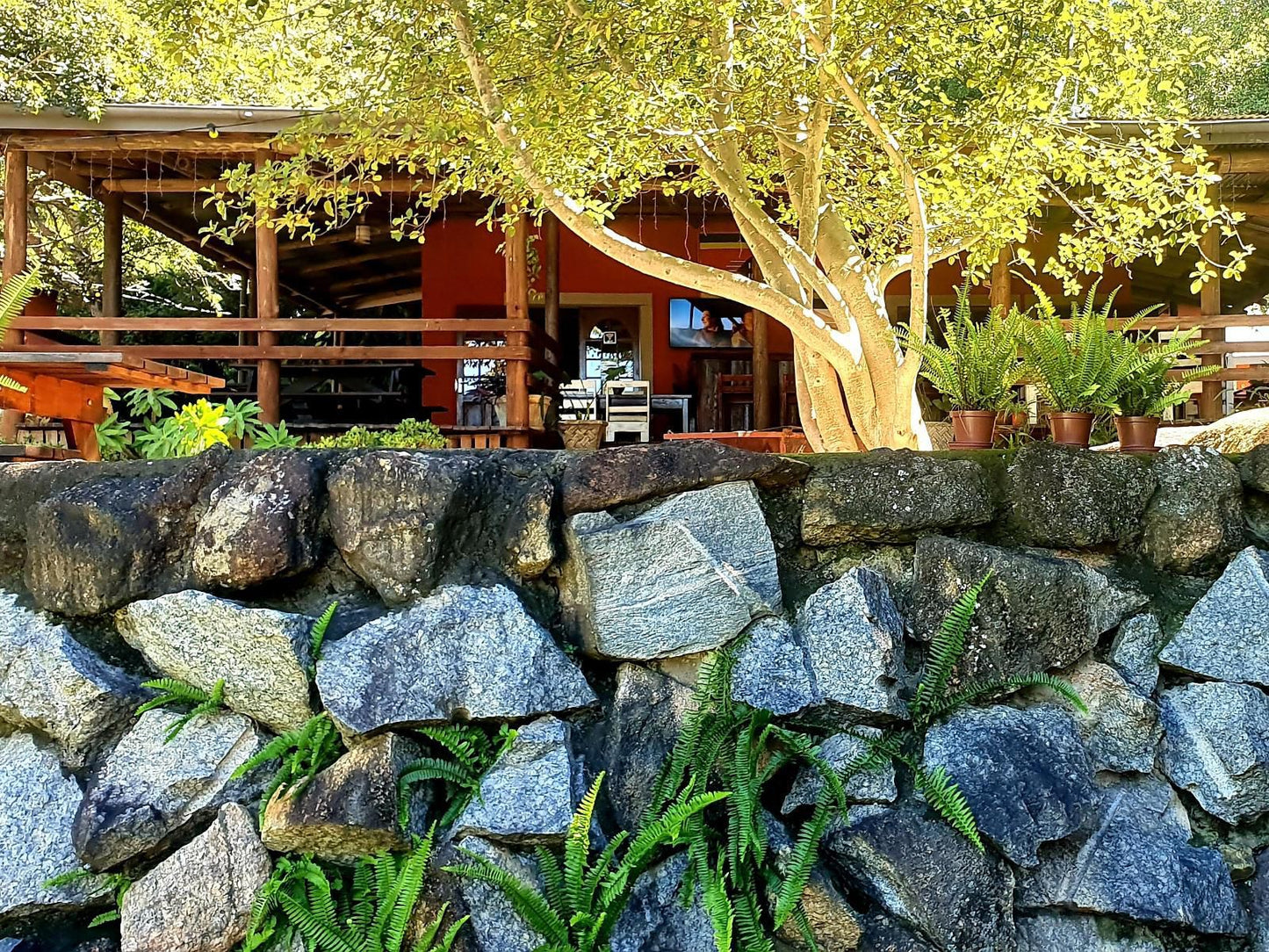 Lidwala Lodge, Plant, Nature, Bar