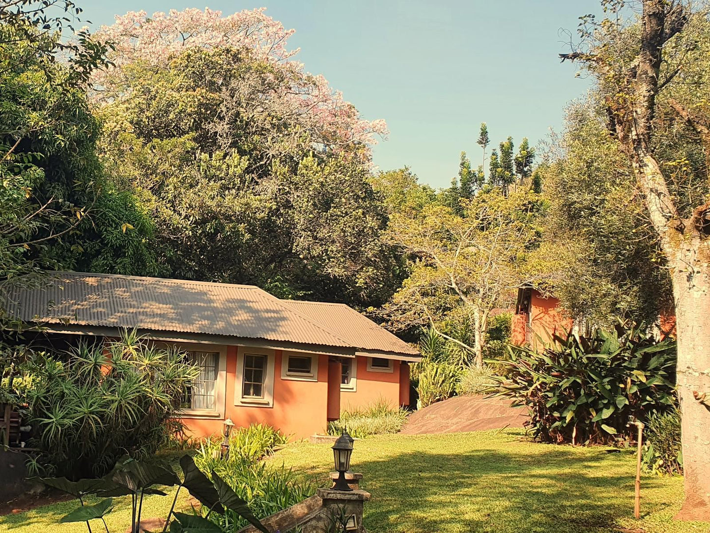 Lidwala Lodge, House, Building, Architecture, Plant, Nature