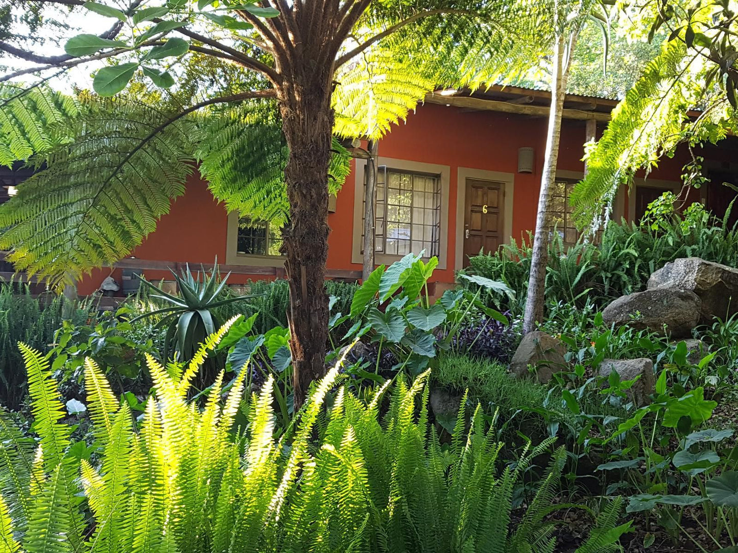 Lidwala Lodge, House, Building, Architecture, Palm Tree, Plant, Nature, Wood