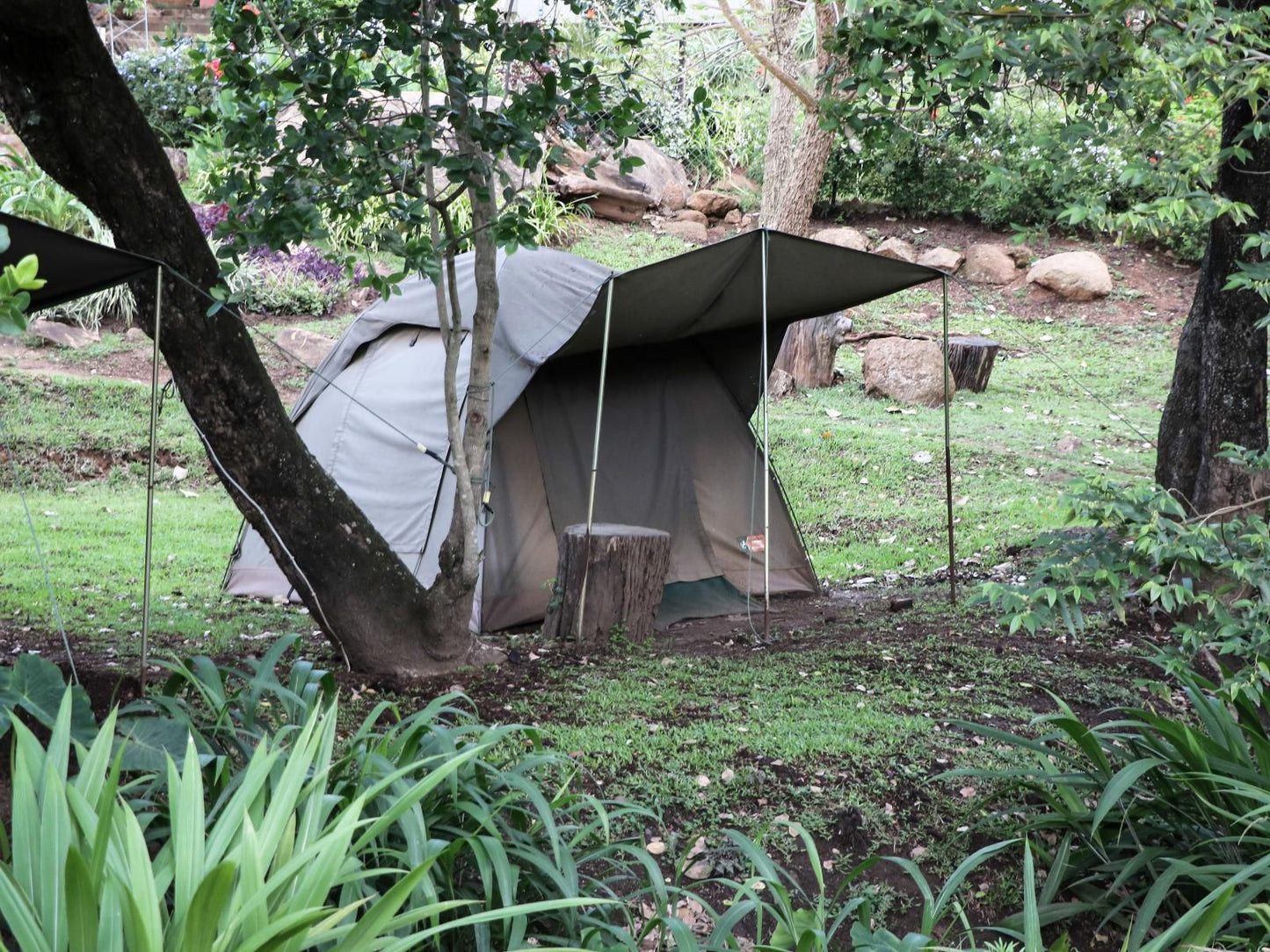 Lidwala Lodge, 2 Bed Safari tent, Forest, Nature, Plant, Tree, Wood, Tent, Architecture