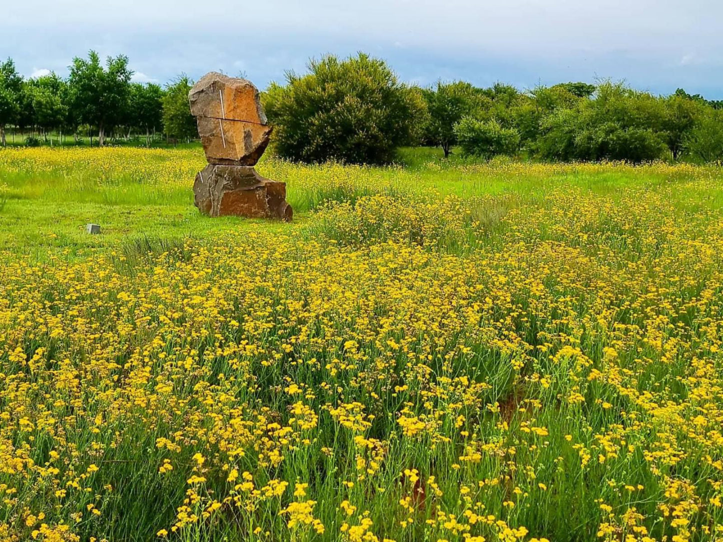 Liedjiesbos Bandb Groenvlei Bloemfontein Free State South Africa Colorful, Field, Nature, Agriculture, Meadow, Plant, Lowland