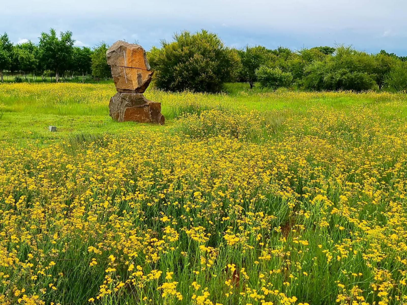 Liedjiesbos Bandb Groenvlei Bloemfontein Free State South Africa Colorful, Field, Nature, Agriculture, Meadow, Plant, Lowland