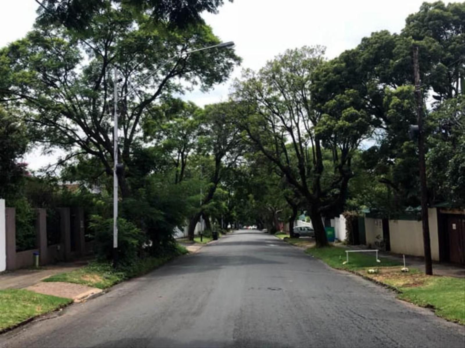 Life On 3Rd Melville Johannesburg Gauteng South Africa Tree, Plant, Nature, Wood, Street