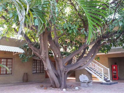 Lifestyle Guest Units Musina Messina Limpopo Province South Africa House, Building, Architecture, Palm Tree, Plant, Nature, Wood