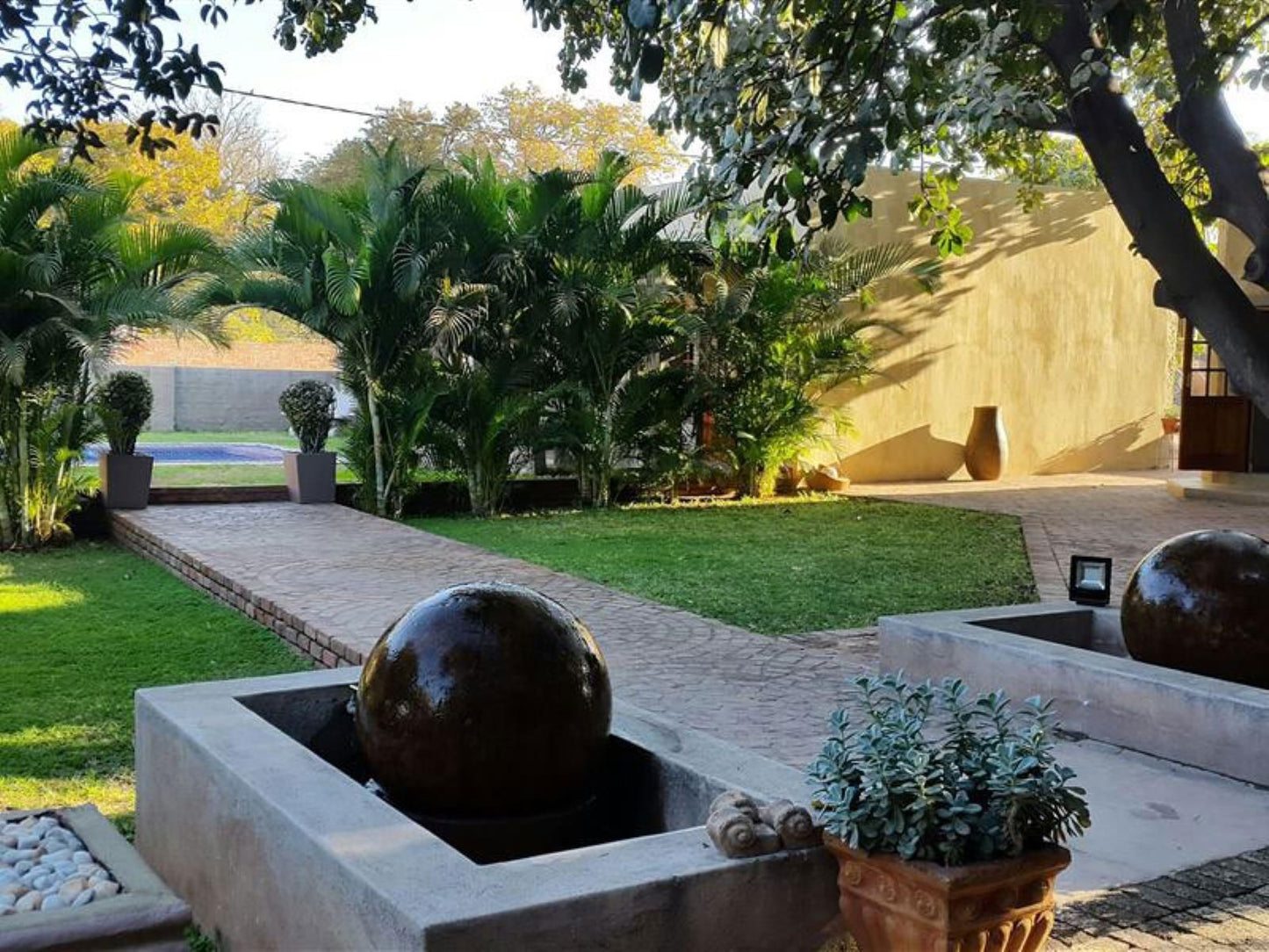 Lifestyle Guest Units Musina Messina Limpopo Province South Africa Palm Tree, Plant, Nature, Wood, Garden