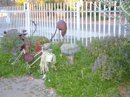 Lighthouse Guesthouse Welkom, Plant, Nature, Pumpkin, Vegetable, Food, Garden