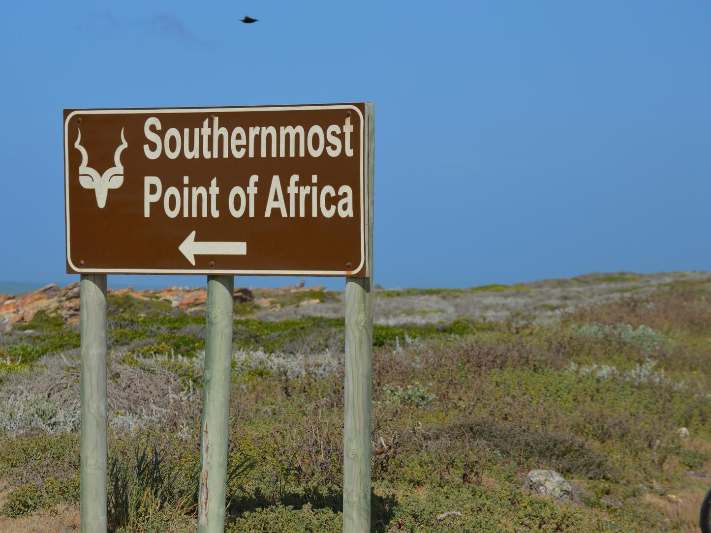 Lighthouse Stay, Sign