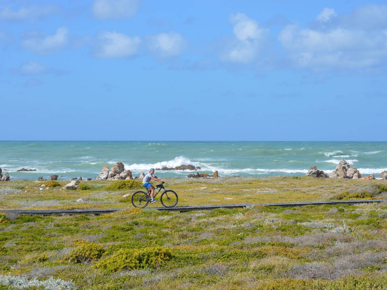 Lighthouse Stay, Bicycle, Vehicle, Beach, Nature, Sand