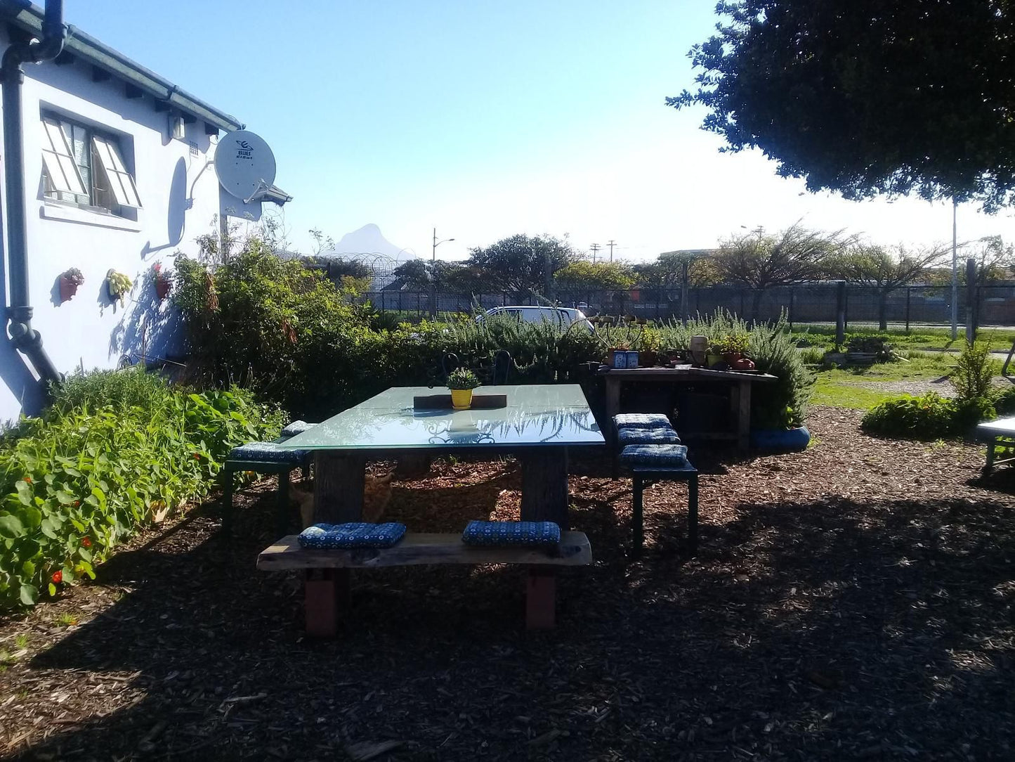 Lighthouse Farm Lodge And Backpackers Mowbray Cape Town Western Cape South Africa 