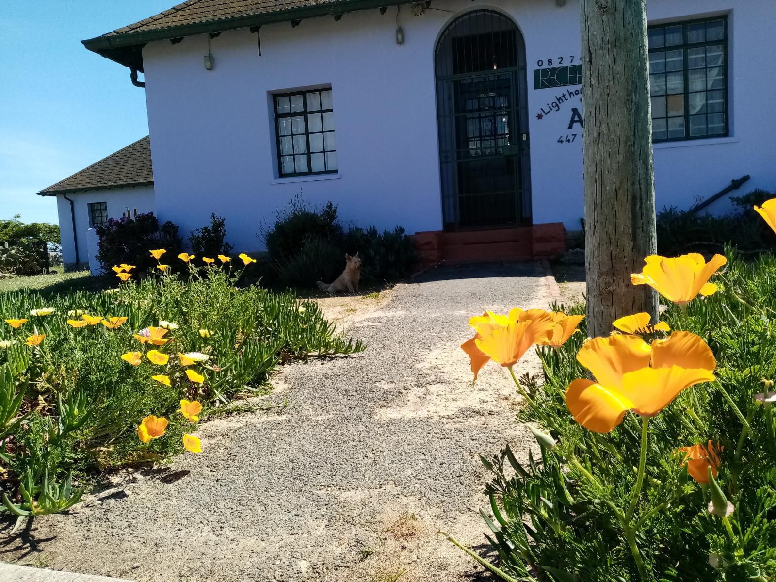 Lighthouse Farm Lodge And Backpackers Mowbray Cape Town Western Cape South Africa Complementary Colors, House, Building, Architecture, Plant, Nature