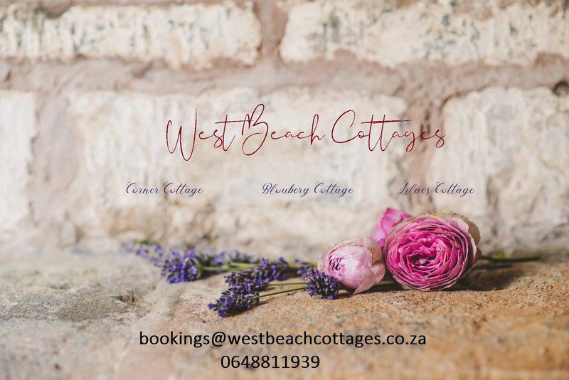 Lilacs Cottage West Beach Blouberg Western Cape South Africa Beach, Nature, Sand, Bouquet Of Flowers, Flower, Plant