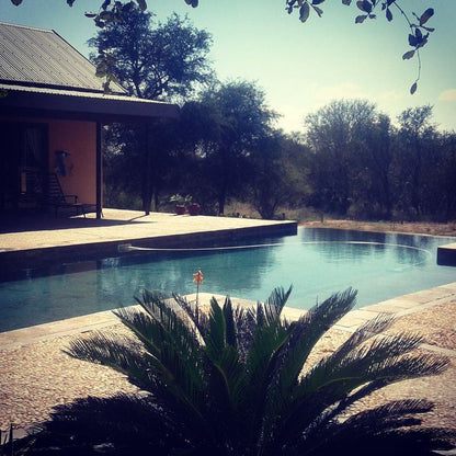 Lili Bush Guesthouse Hoedspruit Limpopo Province South Africa Swimming Pool