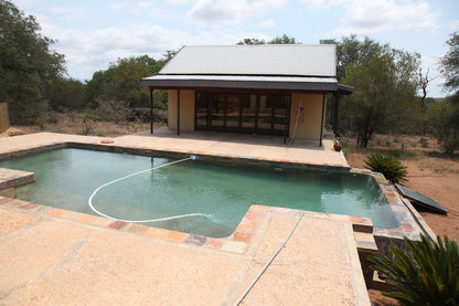 Lili Bush Guesthouse Hoedspruit Limpopo Province South Africa Swimming Pool