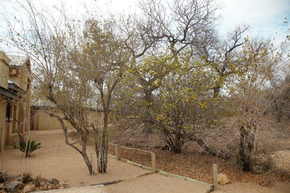 Lili Bush Guesthouse Hoedspruit Limpopo Province South Africa Plant, Nature