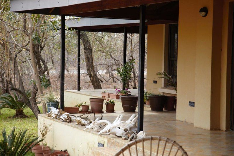 Lili Bush Guesthouse Hoedspruit Limpopo Province South Africa Plant, Nature, Garden