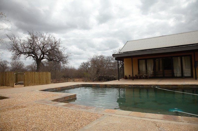 Lili Bush Guesthouse Hoedspruit Limpopo Province South Africa Swimming Pool