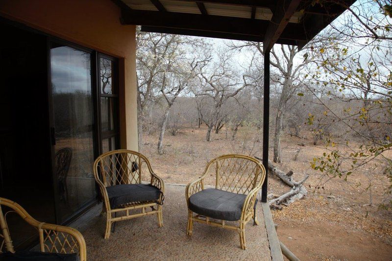 Lili Bush Guesthouse Hoedspruit Limpopo Province South Africa 