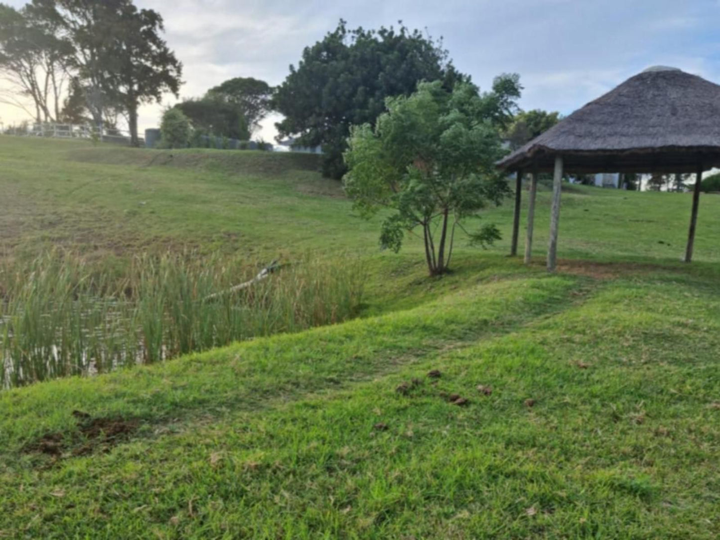 Lilitha Boutique Hotel-East London, Field, Nature, Agriculture, Tree, Plant, Wood