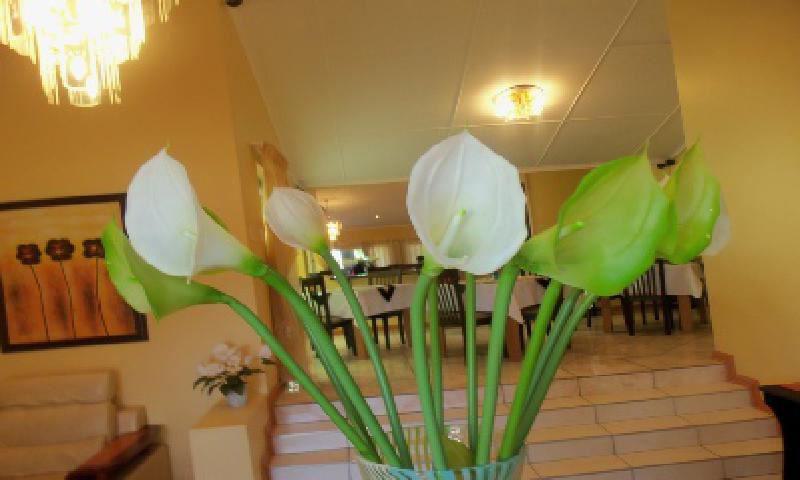 Flower, Plant, Nature, Lilliz Guest House, Fort Gale, Mthatha