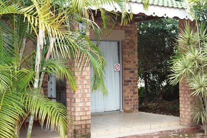 Lily Lo Guest House Polokwane Pietersburg Limpopo Province South Africa Palm Tree, Plant, Nature, Wood