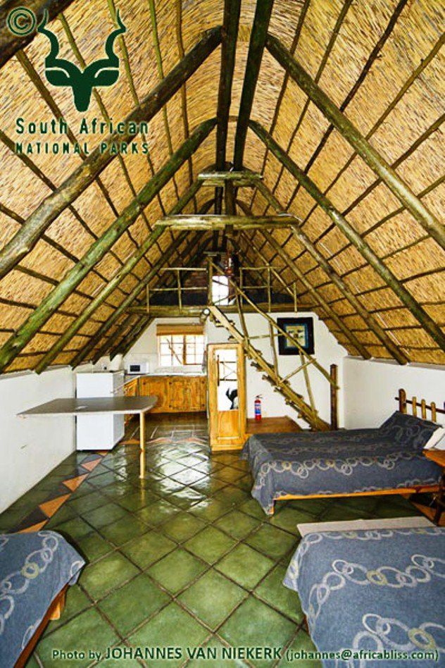 Lilydale Rest Camp Mokala National Park Sanparks Mokala National Park Northern Cape South Africa 