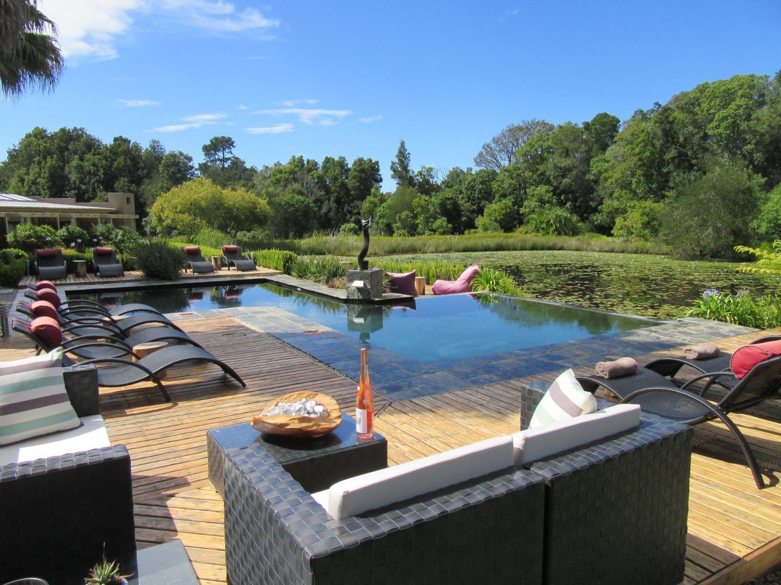 Lily Pond Country Lodge The Crags Western Cape South Africa Complementary Colors, Garden, Nature, Plant, Swimming Pool