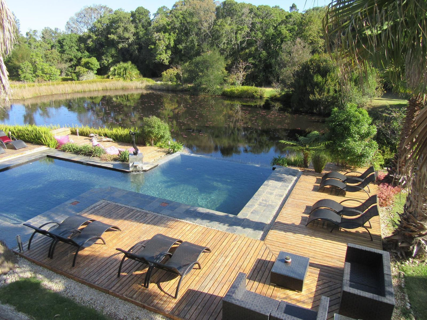 Lily Pond Country Lodge The Crags Western Cape South Africa Swimming Pool
