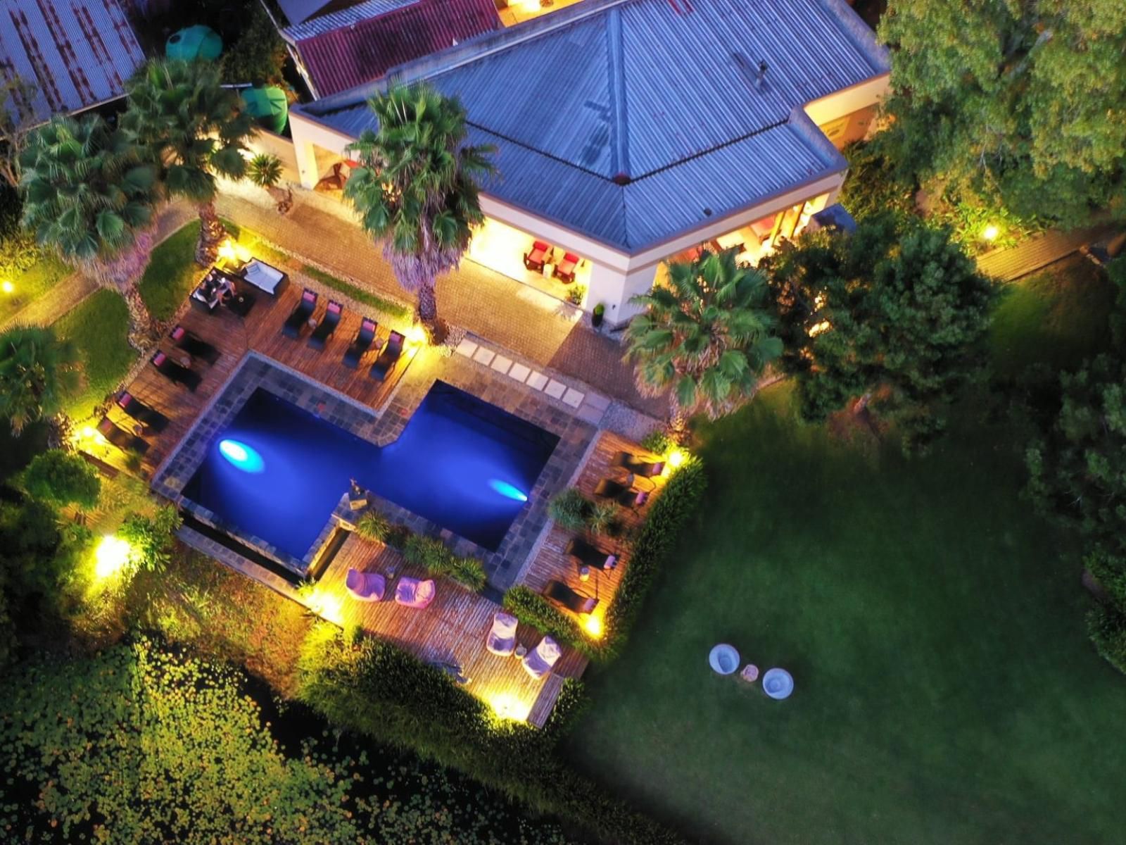 Lily Pond Country Lodge The Crags Western Cape South Africa Complementary Colors, Palm Tree, Plant, Nature, Wood, Swimming Pool