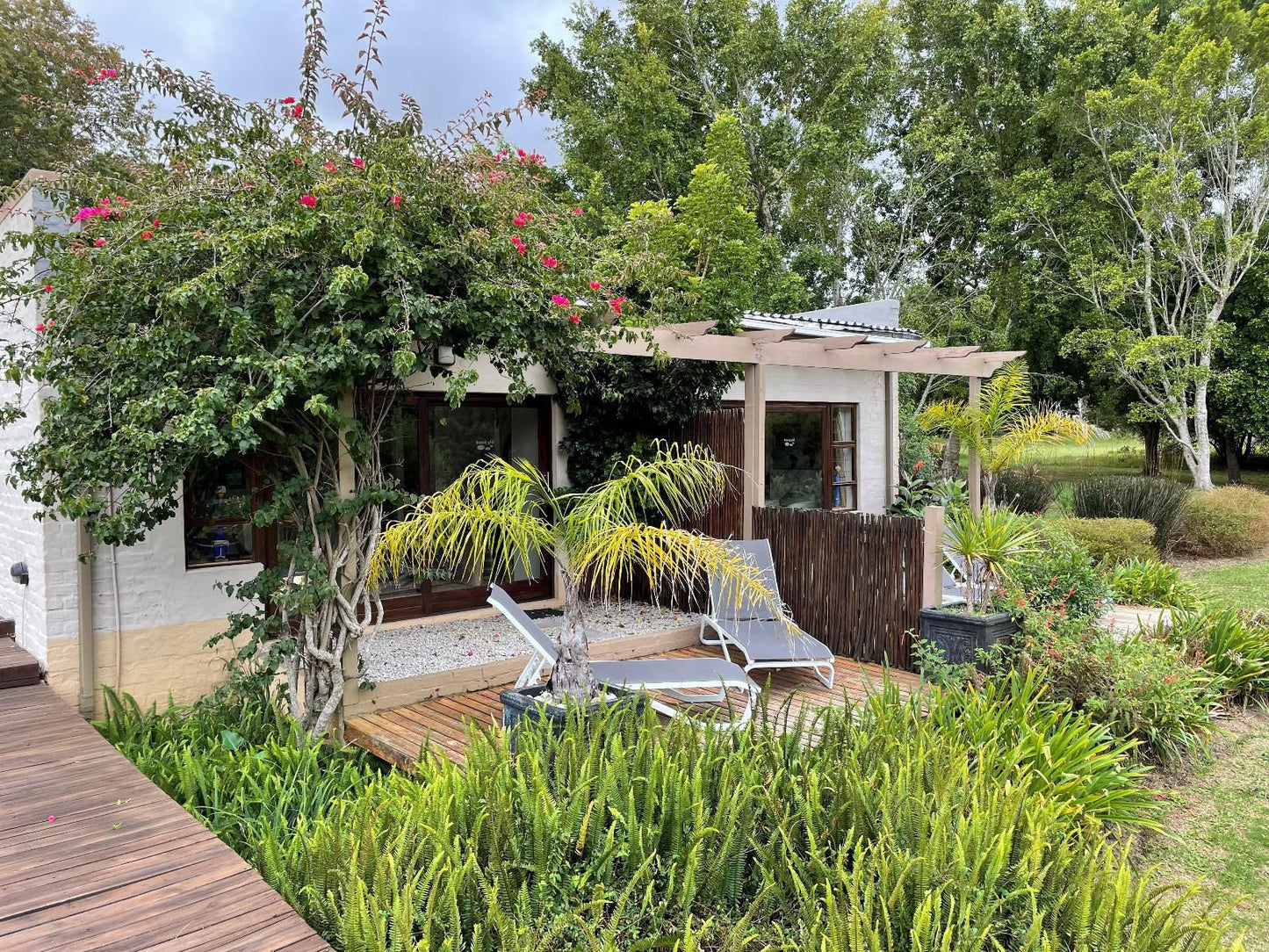 Lily Pond Country Lodge The Crags Western Cape South Africa House, Building, Architecture, Palm Tree, Plant, Nature, Wood, Garden