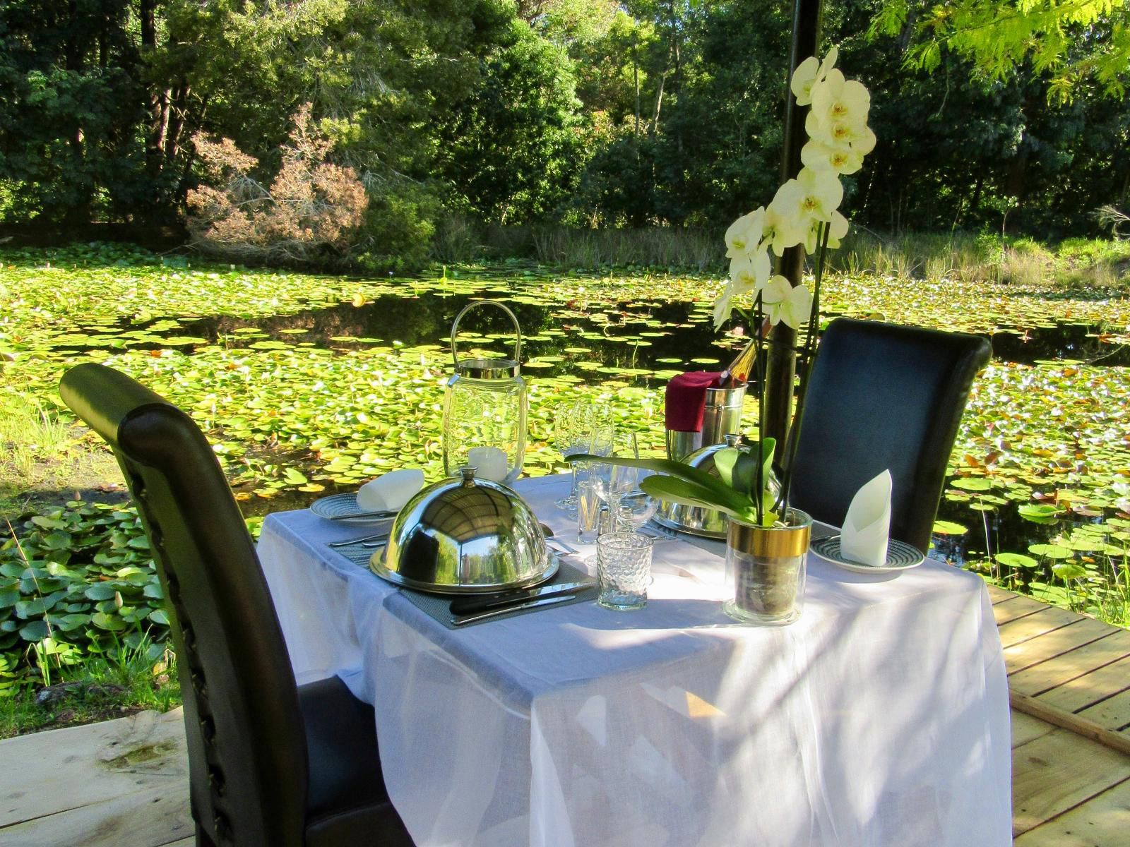 Lily Pond Country Lodge The Crags Western Cape South Africa Place Cover, Food, Garden, Nature, Plant