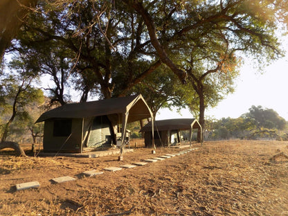 Limpokwena Nature Reserve Alldays Limpopo Province South Africa Tent, Architecture