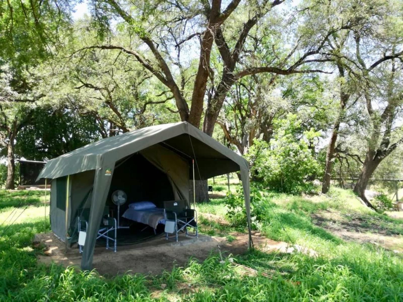 Limpokwena Nature Reserve Alldays Limpopo Province South Africa Tent, Architecture