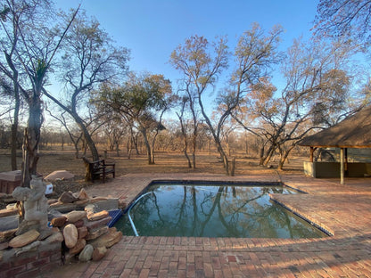 Limpopo Bushveld Retreat Private Campsite Vaalwater Limpopo Province South Africa Swimming Pool