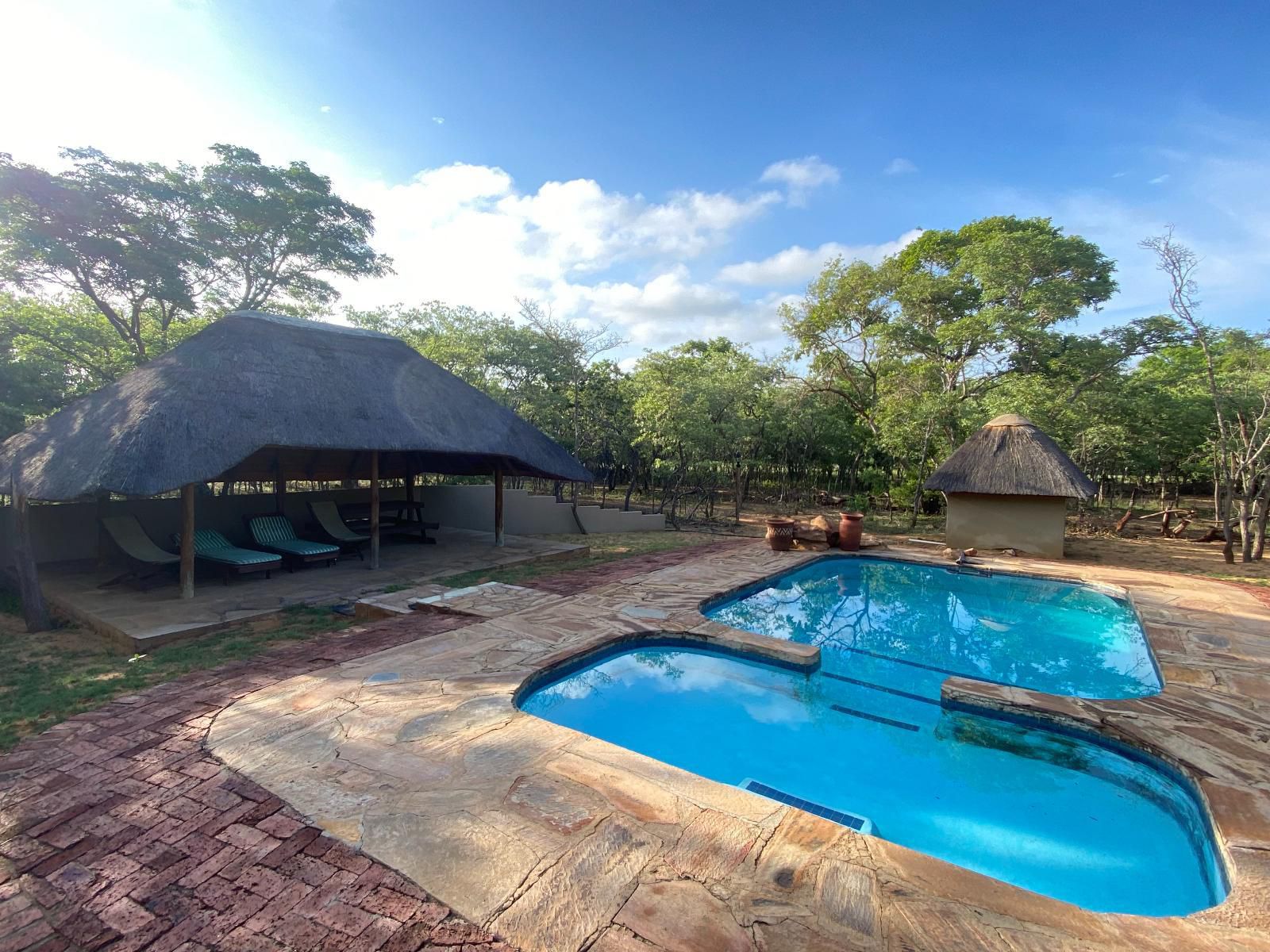 Limpopo Bushveld Retreat Private Campsite Vaalwater Limpopo Province South Africa Swimming Pool