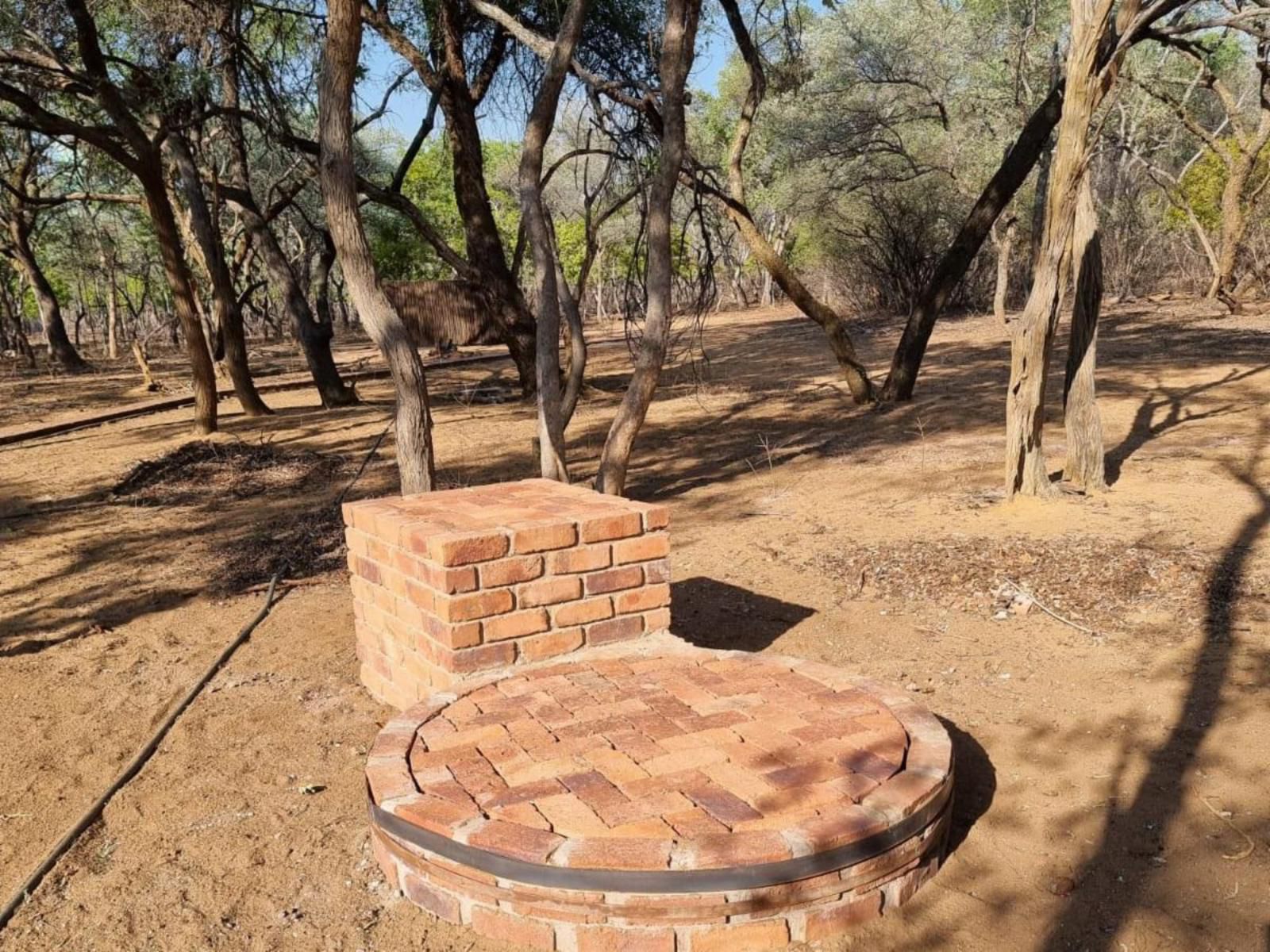 Limpopo Bushveld Retreat Private Campsite Vaalwater Limpopo Province South Africa Brick Texture, Texture