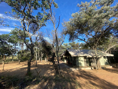 Limpopo Bushveld Retreat Private Campsite Vaalwater Limpopo Province South Africa Complementary Colors, Tree, Plant, Nature, Wood