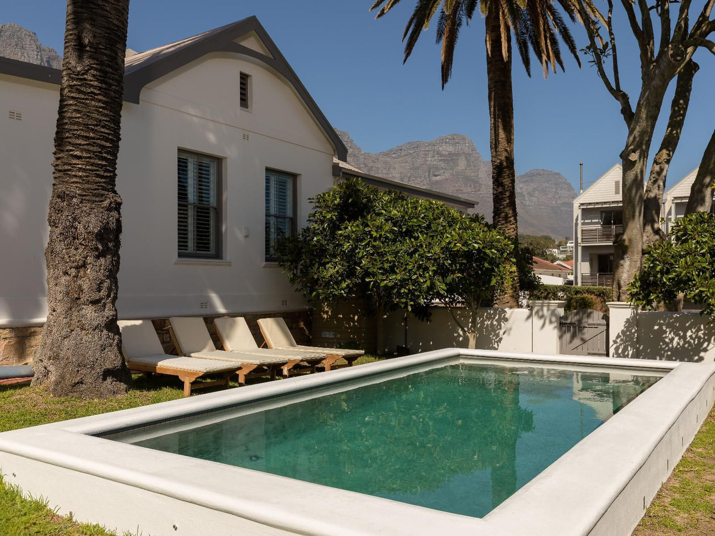 Linda Vista Camps Bay Cape Town Western Cape South Africa House, Building, Architecture, Palm Tree, Plant, Nature, Wood, Swimming Pool