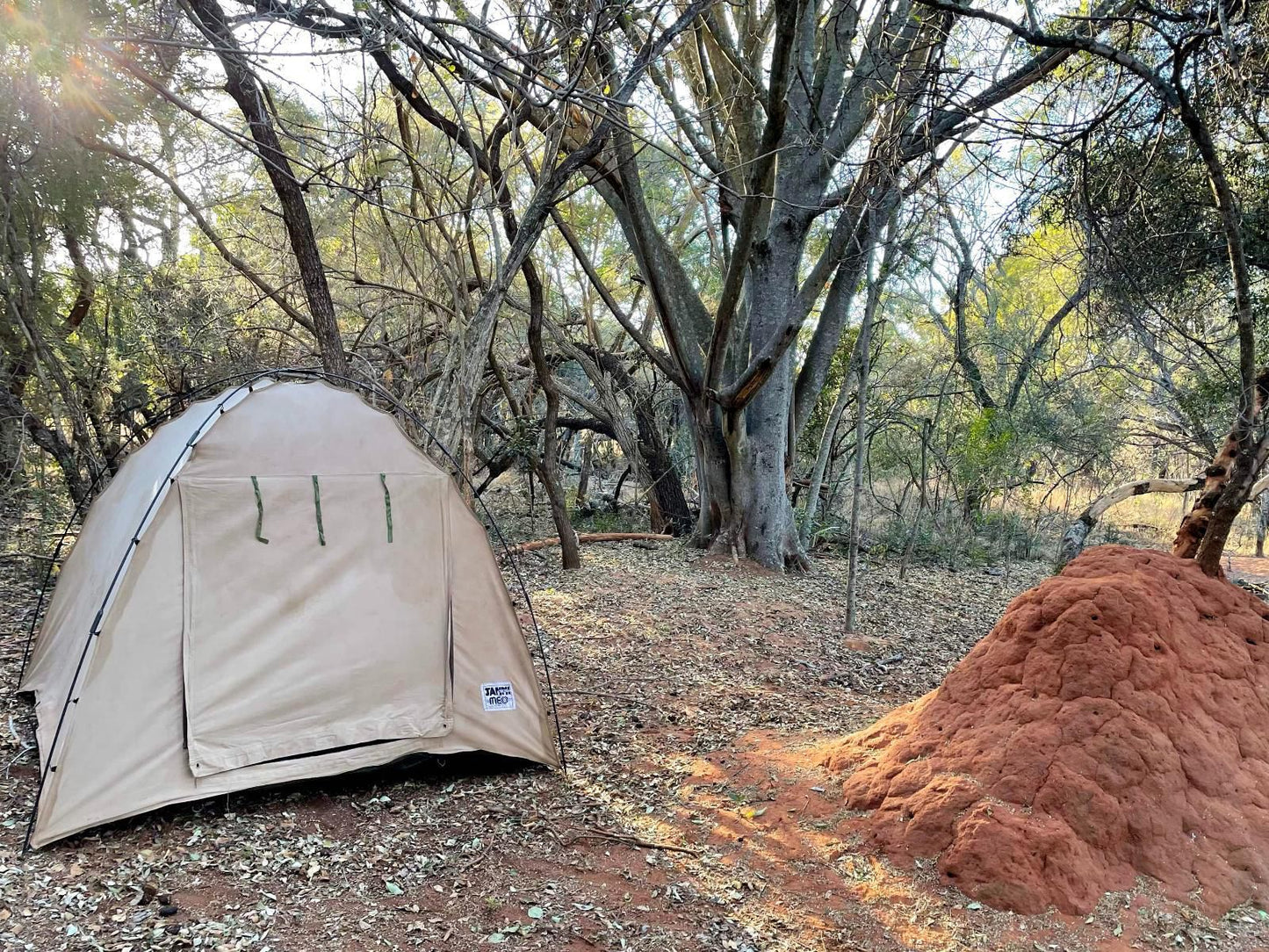 Lindani Game And Lodges Vaalwater Limpopo Province South Africa Forest, Nature, Plant, Tree, Wood, Tent, Architecture