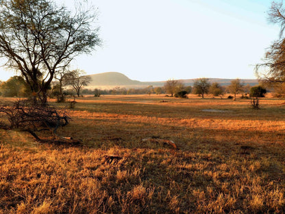 Lindani Game And Lodges Vaalwater Limpopo Province South Africa Lowland, Nature