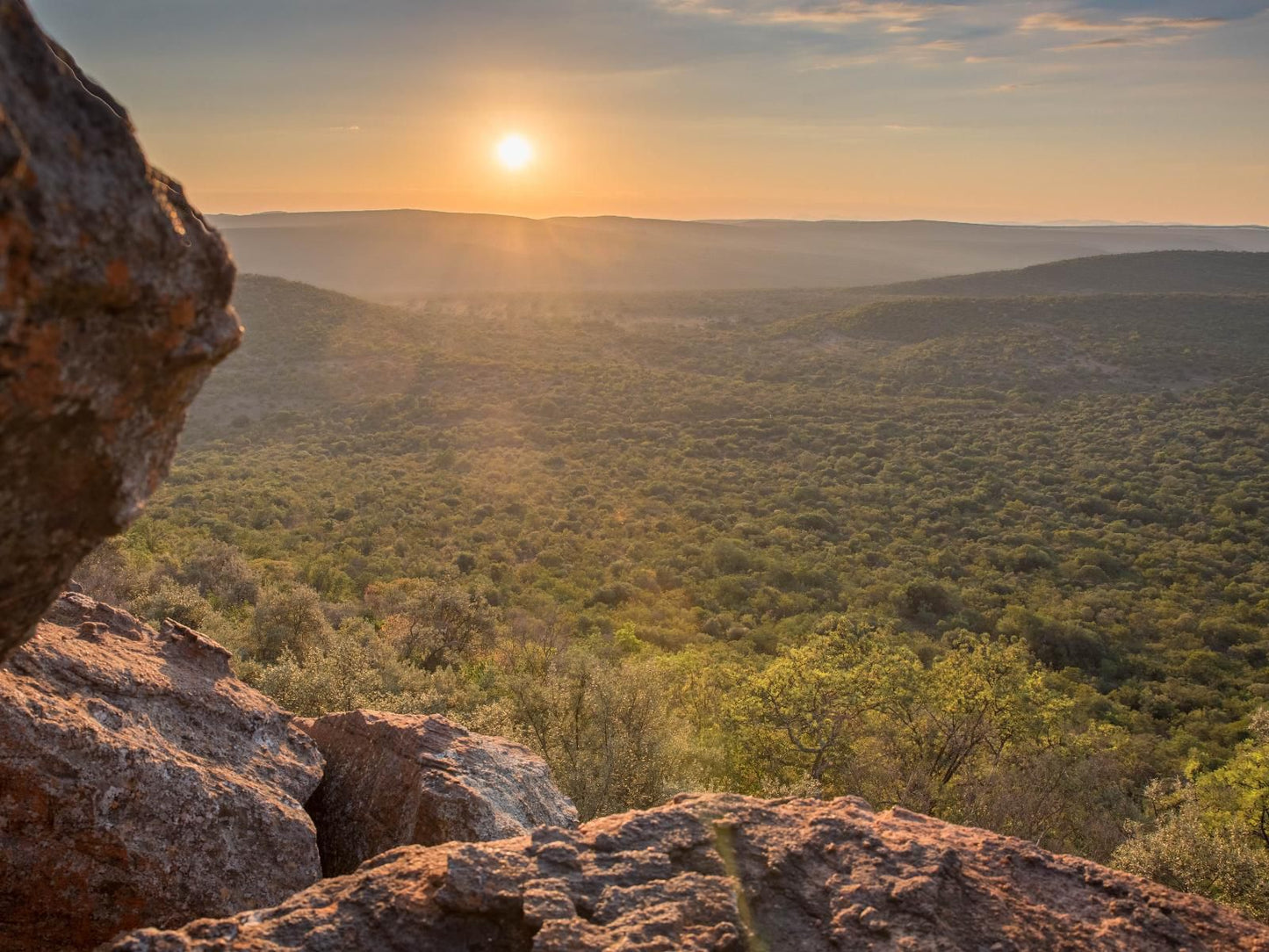 Lindani Game And Lodges Vaalwater Limpopo Province South Africa Nature