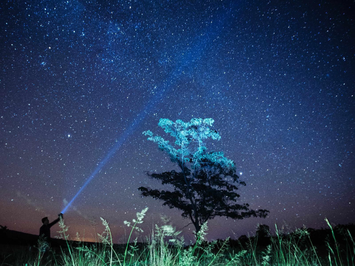 Lindani Game And Lodges Vaalwater Limpopo Province South Africa Nature, Night Sky