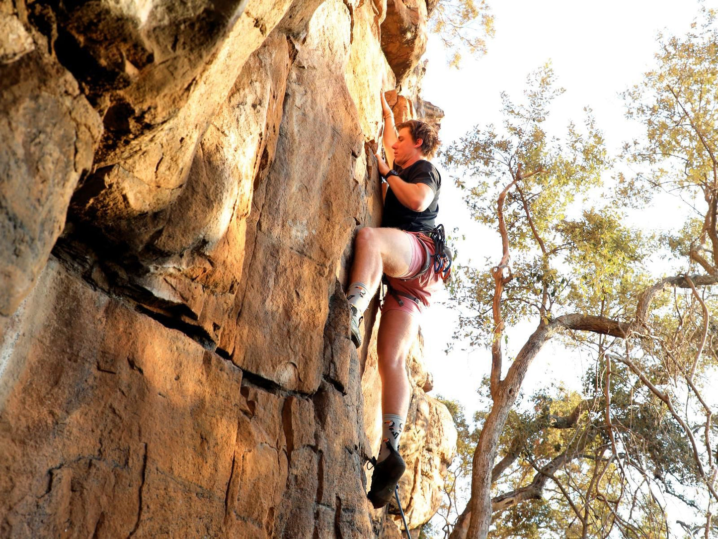 Lindani Game And Lodges Vaalwater Limpopo Province South Africa Climbing, Funsport, Sport, Nature