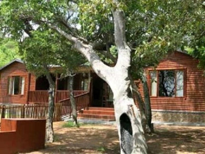 Lindani Game And Lodges Vaalwater Limpopo Province South Africa House, Building, Architecture, Tree, Plant, Nature, Wood