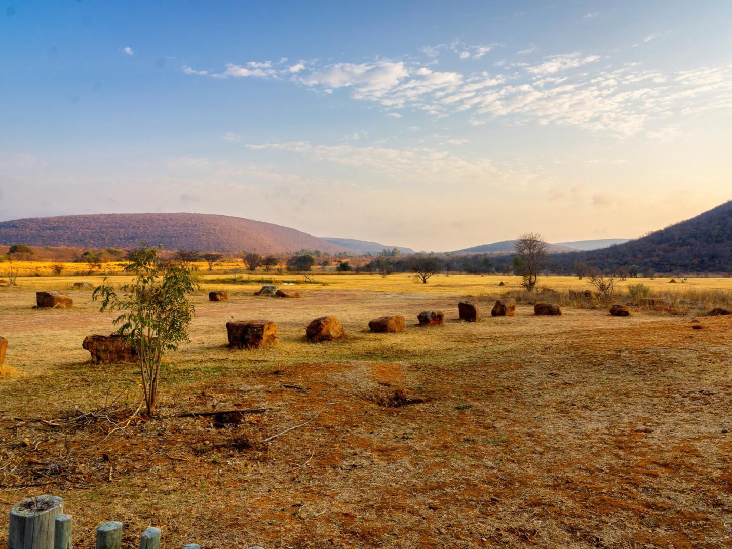 Lindani Game And Lodges Vaalwater Limpopo Province South Africa Complementary Colors, Lowland, Nature