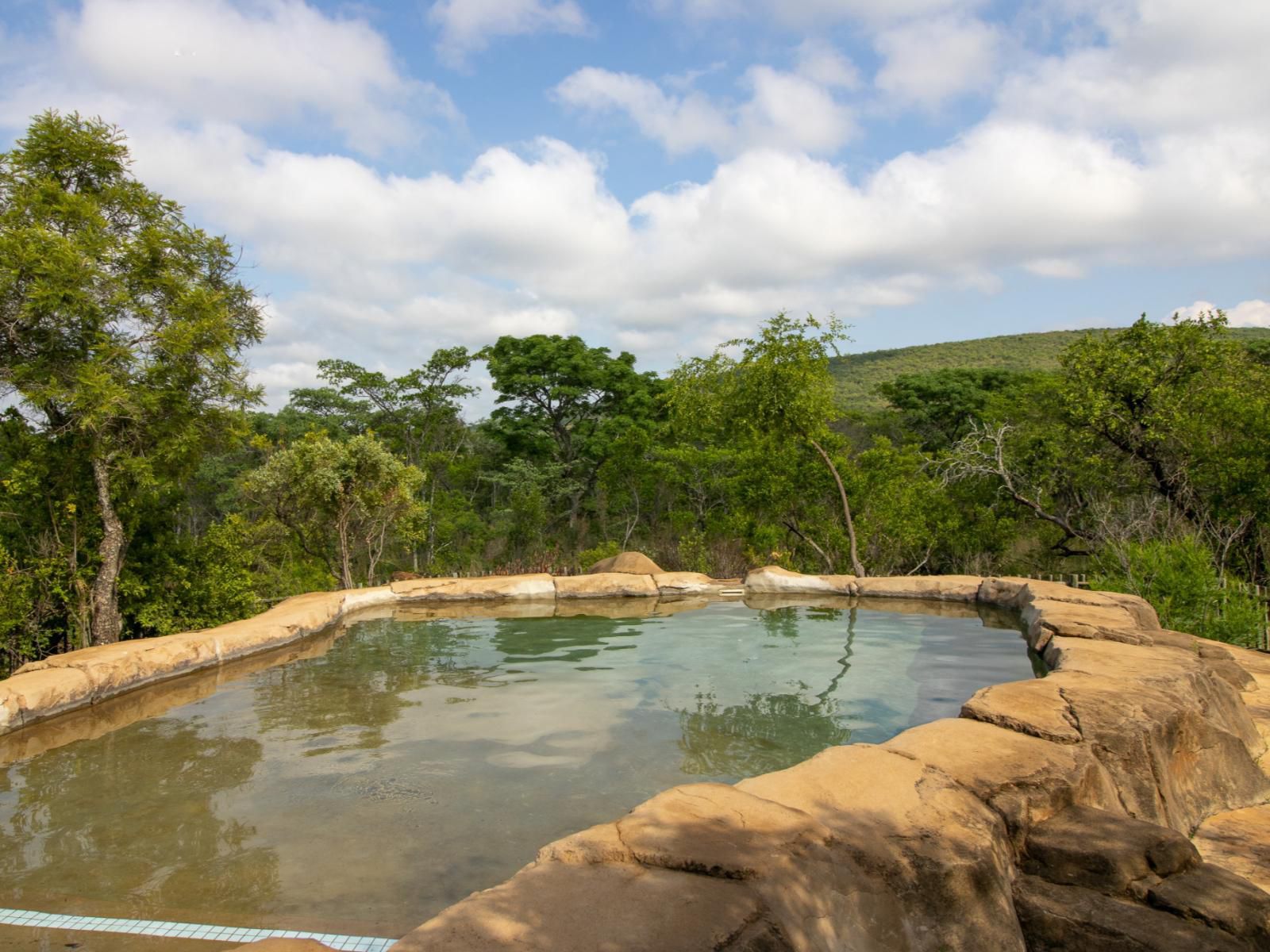 Lindani Game And Lodges Vaalwater Limpopo Province South Africa River, Nature, Waters, Tree, Plant, Wood