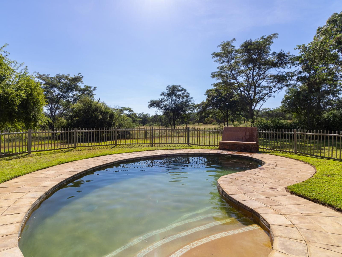 Lindani Game And Lodges Vaalwater Limpopo Province South Africa Complementary Colors, Garden, Nature, Plant, Swimming Pool