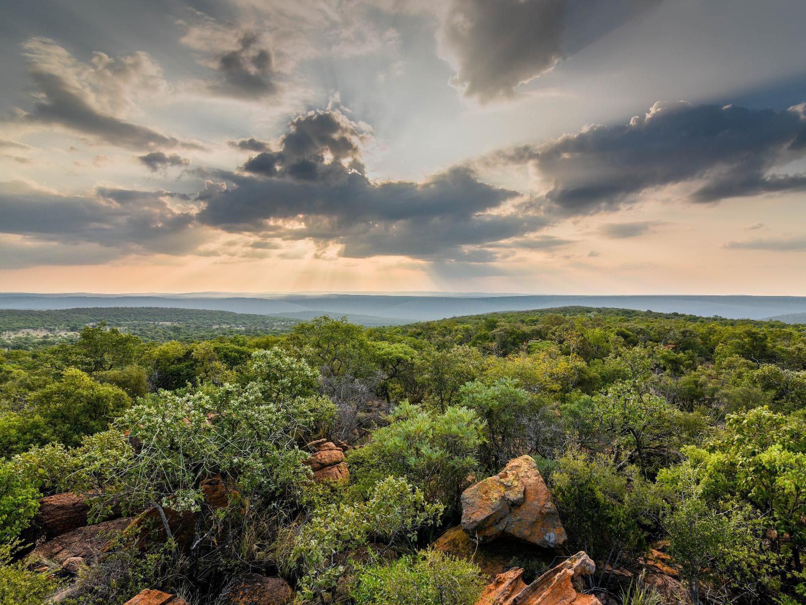 Lindani Game And Lodges Vaalwater Limpopo Province South Africa Nature