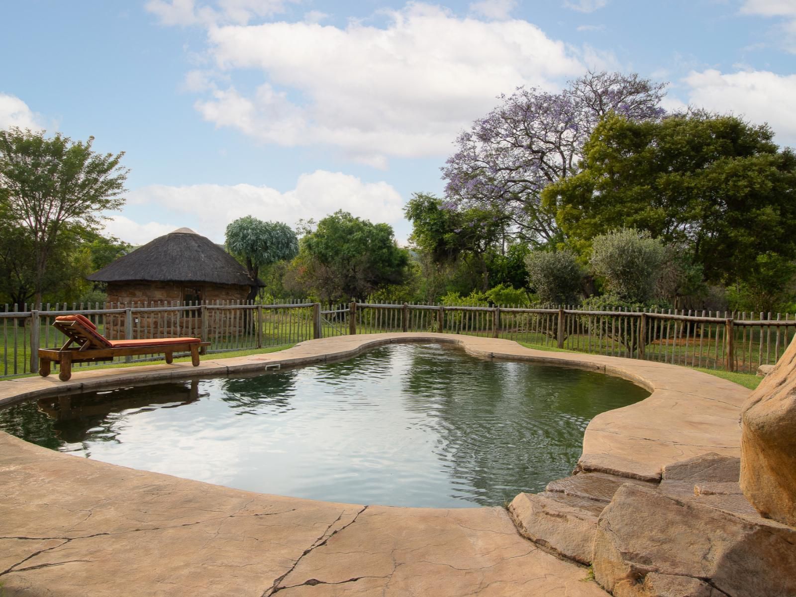 Lindani Game And Lodges Vaalwater Limpopo Province South Africa Garden, Nature, Plant, Swimming Pool